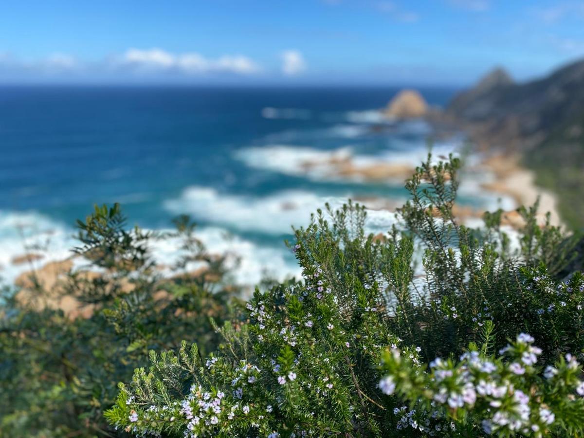 Sea-Esta Διαμέρισμα Plettenberg Bay Εξωτερικό φωτογραφία