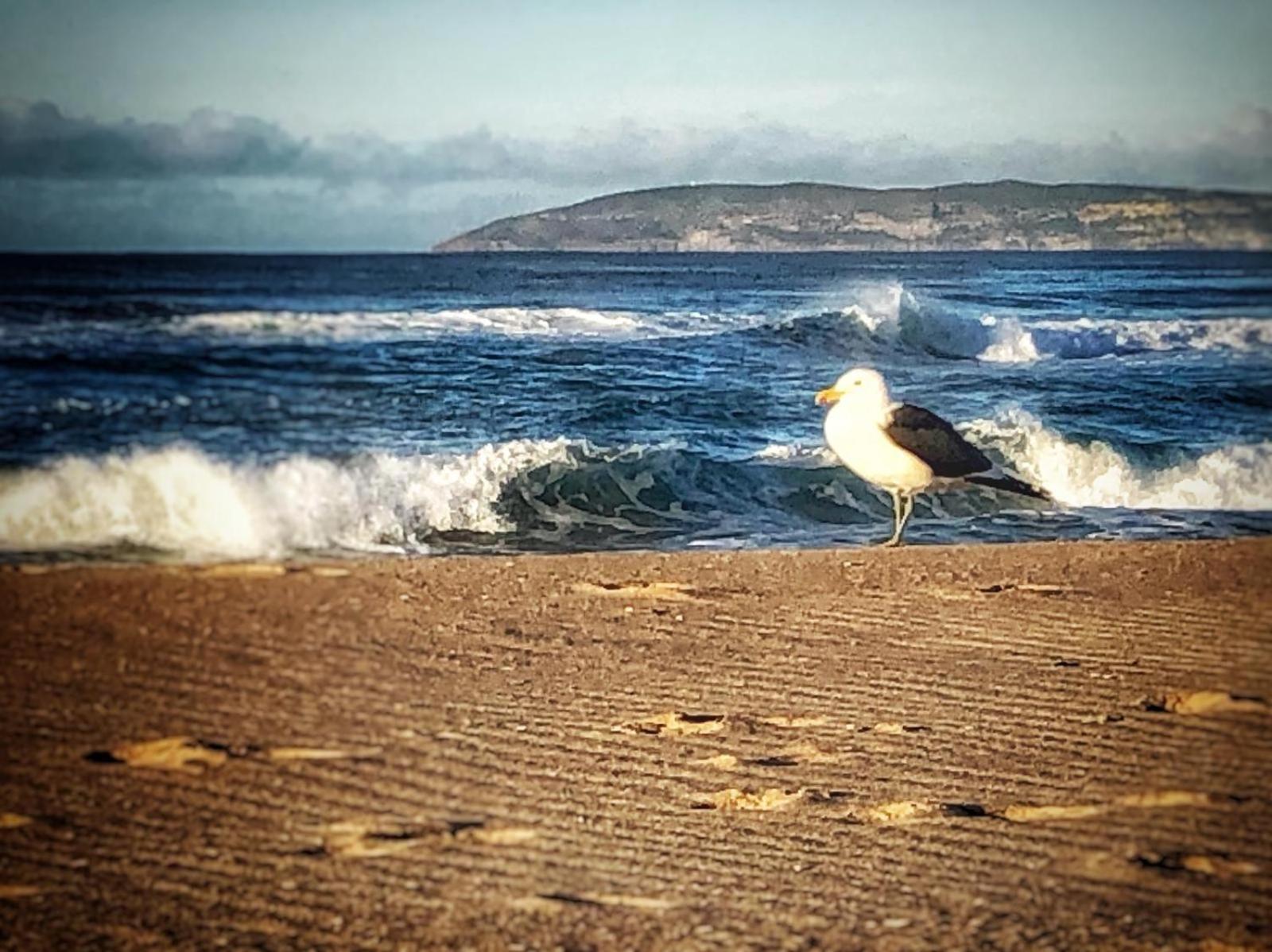 Sea-Esta Διαμέρισμα Plettenberg Bay Εξωτερικό φωτογραφία